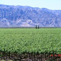 Dipartimento di San Martín