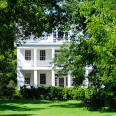 Fonti Flora Plantation