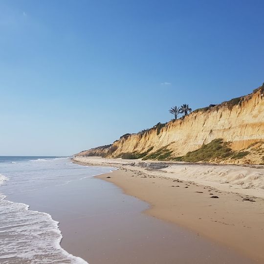 Playa de Torre de la Higuera