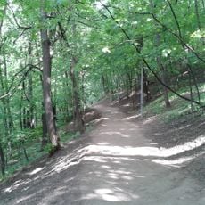 Sparrow Hills Sanctuary