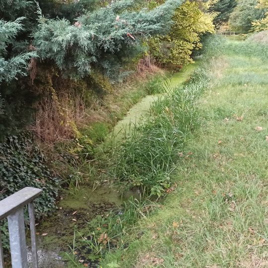 Siedenfelder Wettern