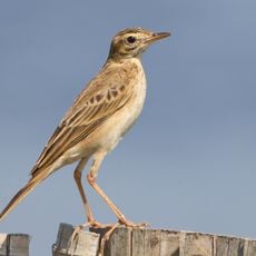 Nam Phong National Park