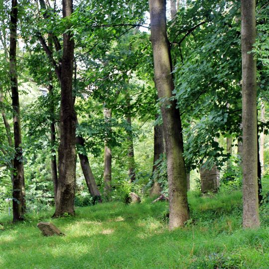 Stary cmentarz żydowski we Frysztaku