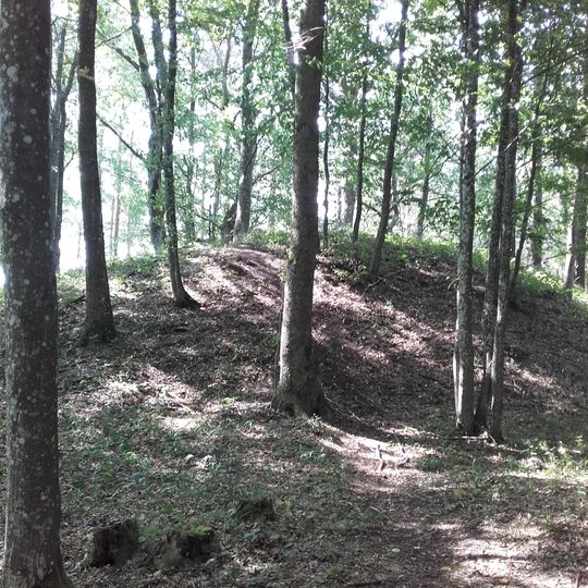 Šlavantų piliakalnis