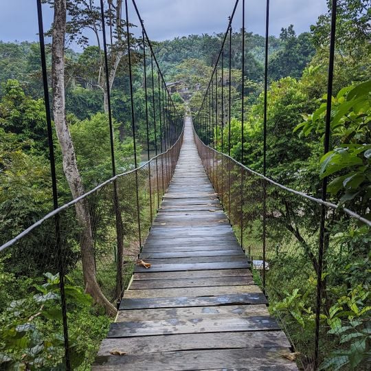 Ekotourism Tangkahan