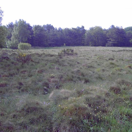 Werther Heide und Napoleonsweg