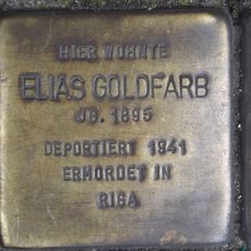 Elias Goldfarb