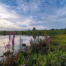 Bawn Lough