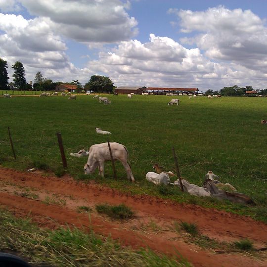 Presidente Castelo Branco