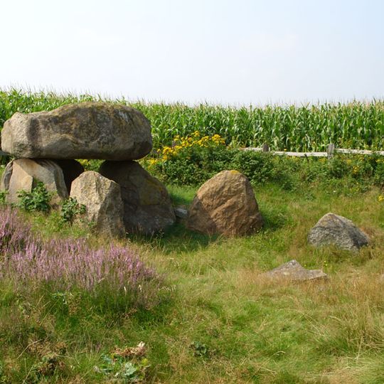 Großsteingrab Badenstedt