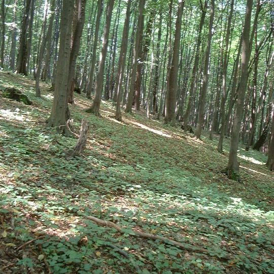 Rezerwat przyrody Ostrężnik