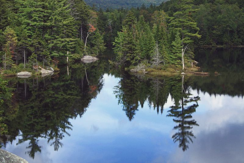 For t Nationale De Green Mountain For t Nationale Dans Le Vermont For t Nationale De Green Mountain For t Nationale Dans Le Vermont