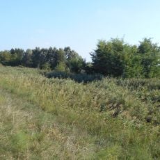 Oasi Bojo della Ferriana