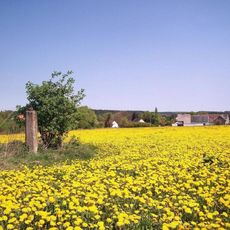 Kříž v poli u Klenovic