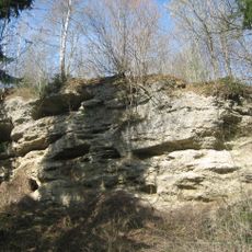 Nagelfluh-Aufschluss südöstlich von Bad Grönenbach