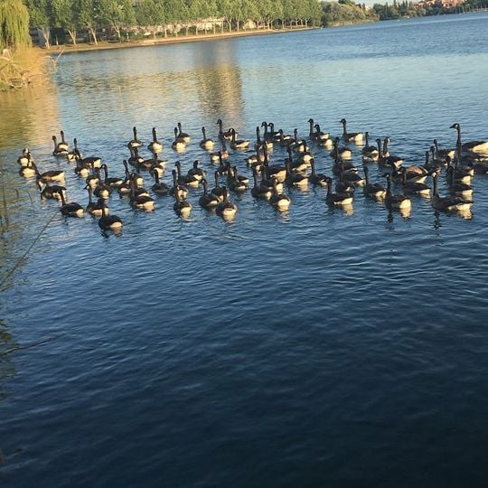 Île de loisirs de Créteil