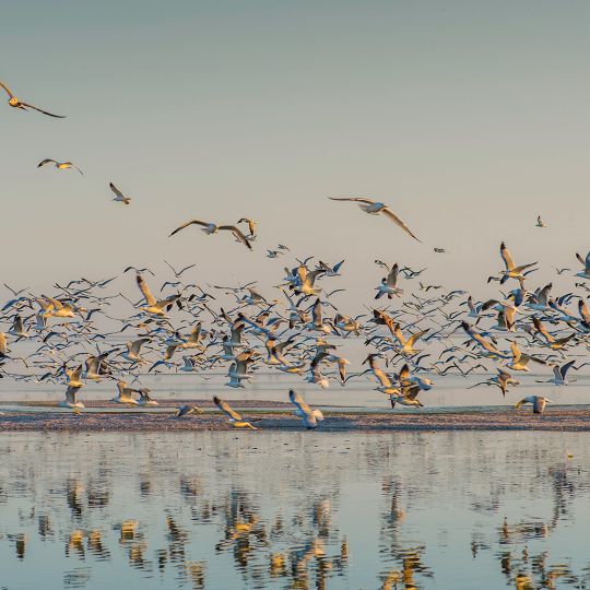 Salton Sea State Recreation Area