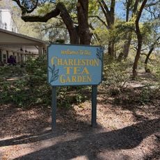 Charleston Tea Plantation