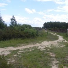 Vogelschutzgebiet Drover Heide