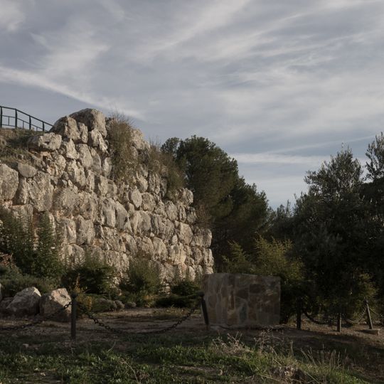 Muralla del Cerro Miguelico