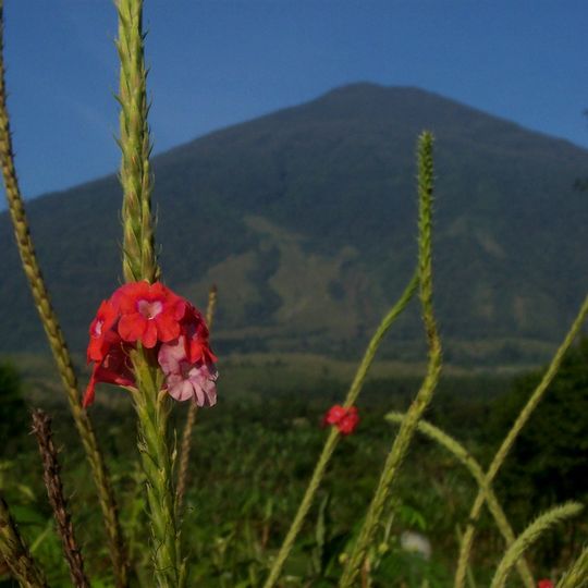Parco nazionale di Gunung Ciremai