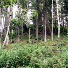Spārnu hillfort