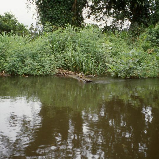 Reserva de la biosfera de Río San Juan