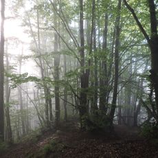 Monte Casciaio