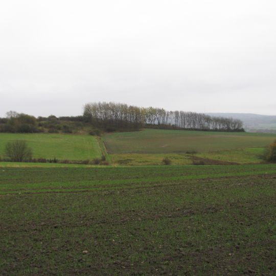 Landschaftsschutzgebiet Lossewiesen bei Niederkaufungen