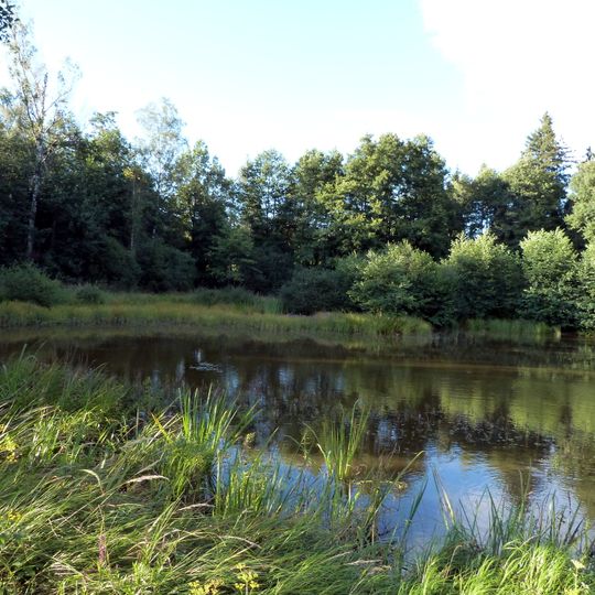 Birkenweiher mit Ober- und Unterholzweiher