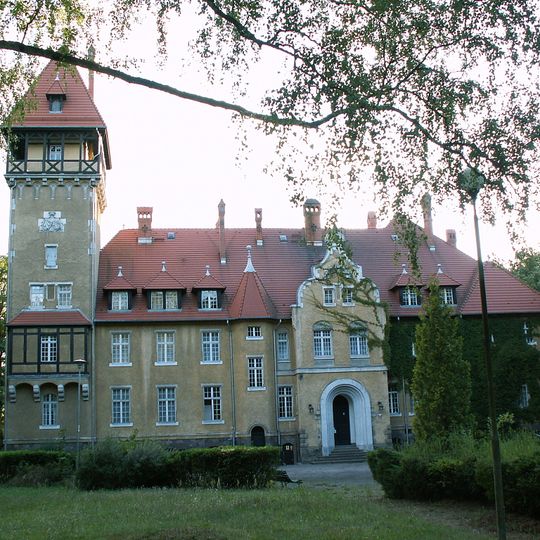 Palace in Rogi