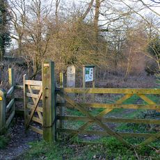 Charley Woods