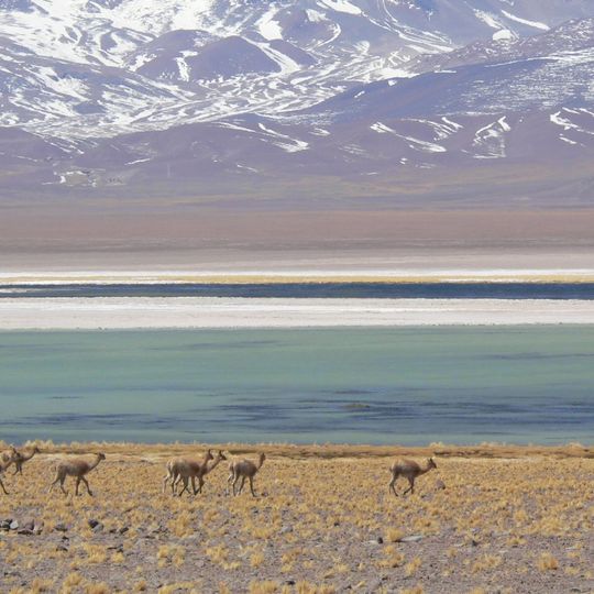 Nevado Tres Cruces National Park