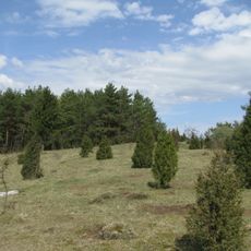 Kalkmagerrasen bei Roßbach