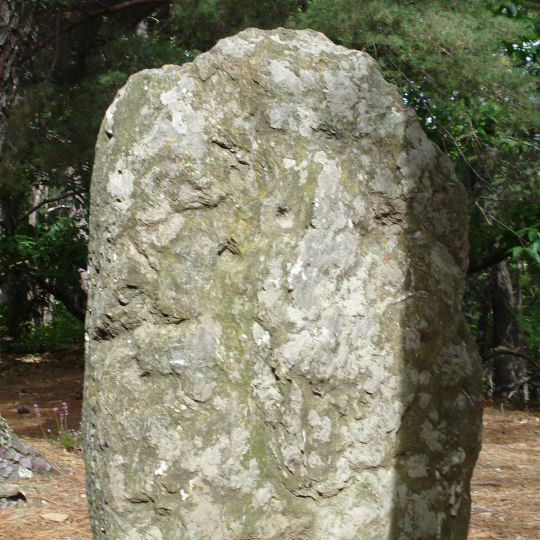 Pierre de la Vieille