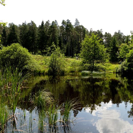 NSG In der Wasserdell