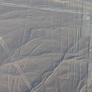 Nazca Parrot geoglyph