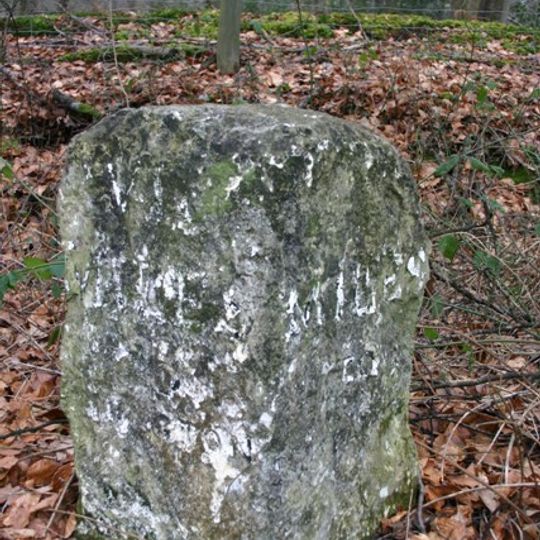 Milestone 450 Metres South Of Turning To High Coxlease