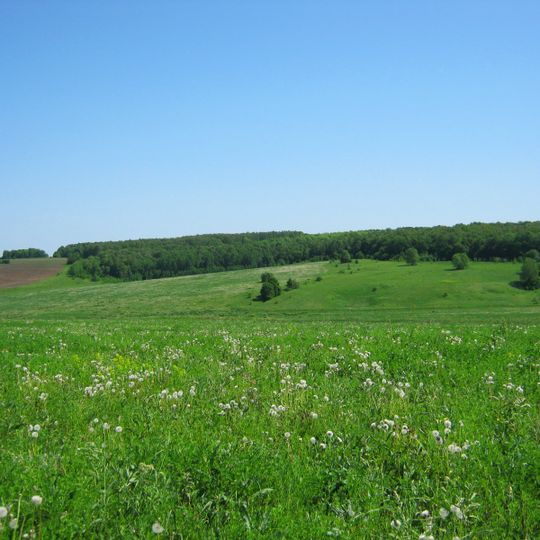 Buturlinsky District