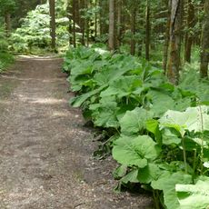 LSG Südliches Gleißental im Gebiet der Gemeinden Dingharting und Oberbiberg