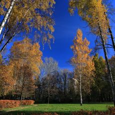 Sokolniki Park