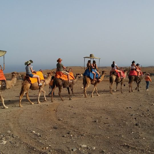 Lanzarote safaris