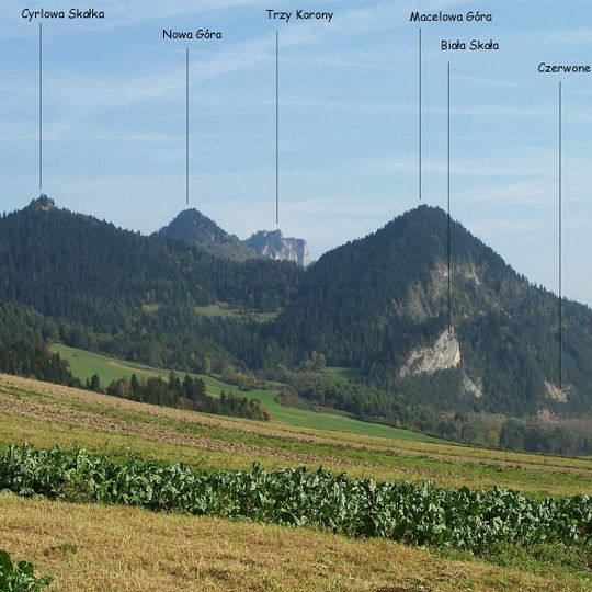 Jaskinia w Skałce Gumionek