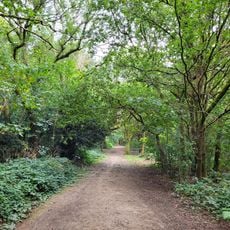 Rusthall Common