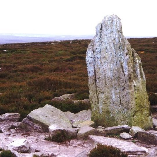 Blue Man-i'-th'-Moss