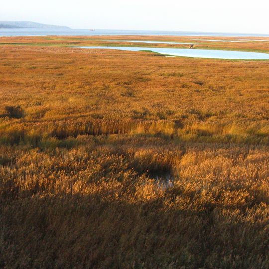 Réserve naturelle nationale de l'estuaire de la Seine