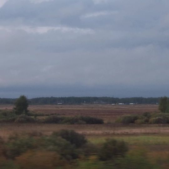 Chulymsky District