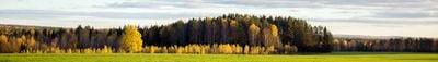 Panoramablick 1