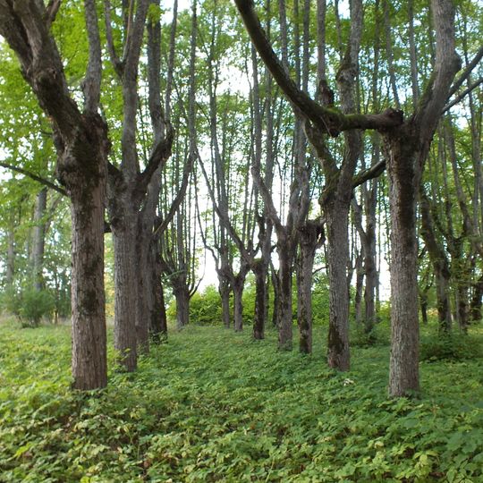 Lindes muižas parks