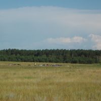 Zavyalovsky District, Altai Krai